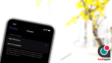 iPhone With Camera Format Selection Settings