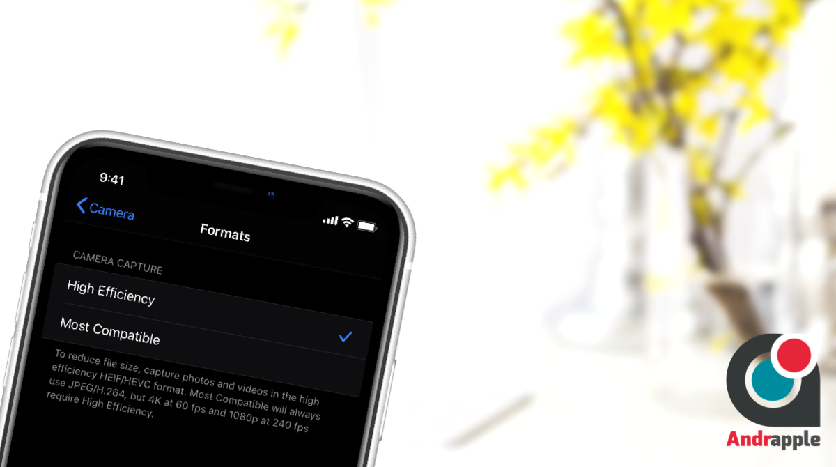 iPhone With Camera Format Selection Settings